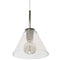 Dainolite 1 Light Pendant Pc W/ Clear Glass RSW-91P-PC-CLR