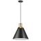 Dainolite 1 Light Incandescent Pendant Matte Black with Aged Brass Accent SNS-141P-MB-AGB