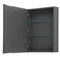 Wyndham Daria 72" Double Bathroom Vanity In Dark Gray No Countertop No Sink and Medicine Cabinet WCV252572DKGCXSXXMED