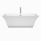 Wyndham Galina 67" Soaking Bathtub in White Brushed Nickel Trim and Brushed Nickel Floor Mounted Faucet WCBTK151967ATP11BN