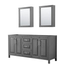 Wyndham Daria 72" Double Bathroom Vanity In Dark Gray No Countertop No Sink And Medicine Cabinet WCV252572DKGCXSXXMED