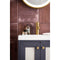 James Martin Chianti 20" Single Vanity Cabinet Mineral Gray Radiant Gold with White Glossy Resin Countertop E303-V20-MG-RGD-WG